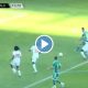 فيديو هدف الجزائر أمام النيجر